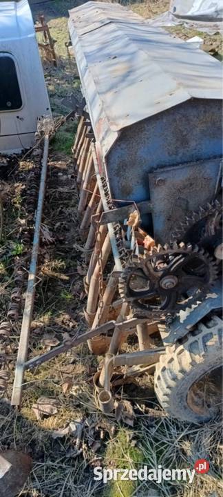 Siewnik poznaniak 25 m świętokrzyskie Nowa Słupia