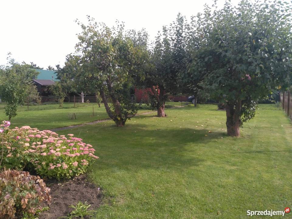 Działka rekreacyjnoogrodowa w Dziwnówku zachodniopomorskie Dziwnów