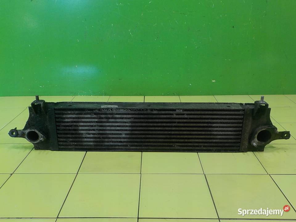 NISSAN QASHQAI I J10 2 LIFT 15 DCI 11r 5D Suków