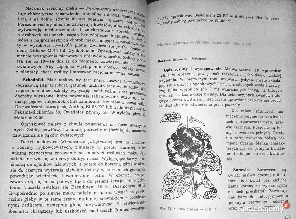 Poradnik plantatora ziół Antonina lubelskie Chełm sprzedam