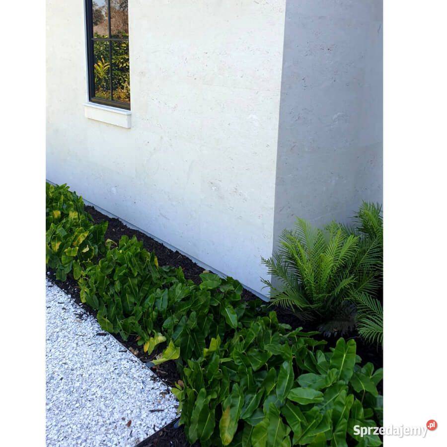 Płytki Wapień Emelas Beige szczotkowany30 5x61x1 Łódź sprzedam