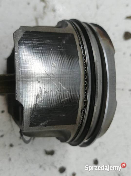 TŁOK KORBOWÓD 81P26 18 20V T Audi A3 I 19962003 sprzedam