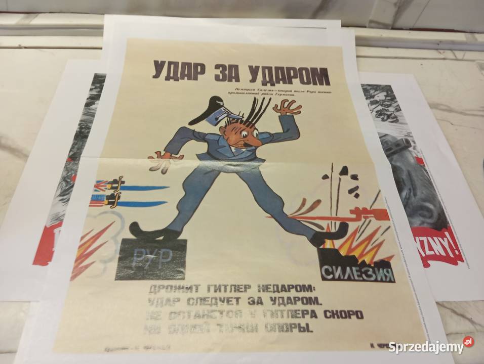 Porządki domowe plakaty Cieszyn sprzedam