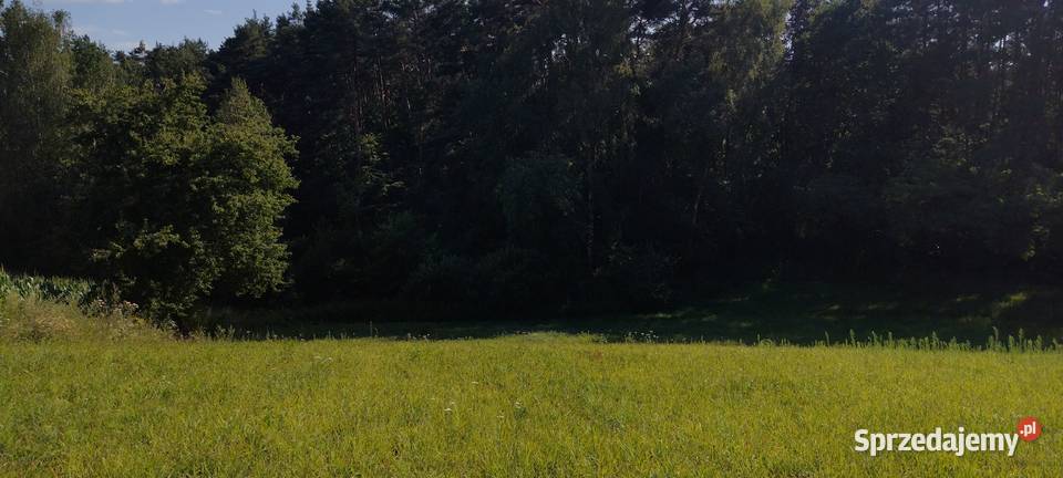 Działka z wydanymi warunkami zabudowy o pow 065 rekreacyjna kujawsko-pomorskie Radzynek
