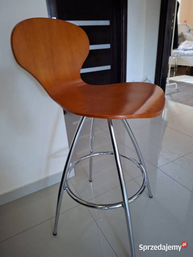 Hoker barowy ciekawy Nowa Sól