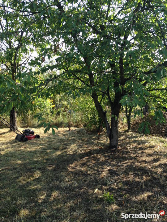 Działka ogródek 38a Dzierżoniów POD KOLEJARZ