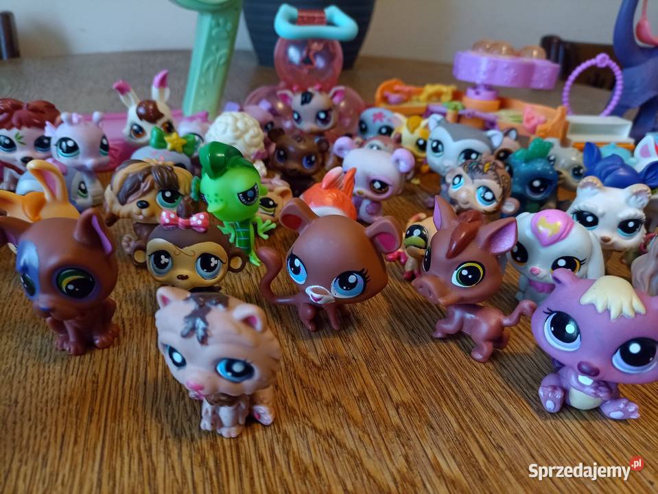 Pet shop kolekcja Figurki Leżajsk