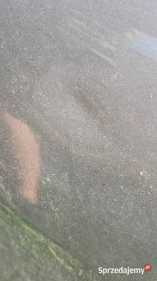 Drzwi Citroen Xsara Picasso Łagów