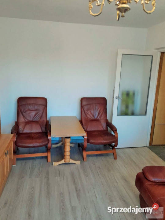 wynajmu mieszkania Łódź Rojna 383 metry