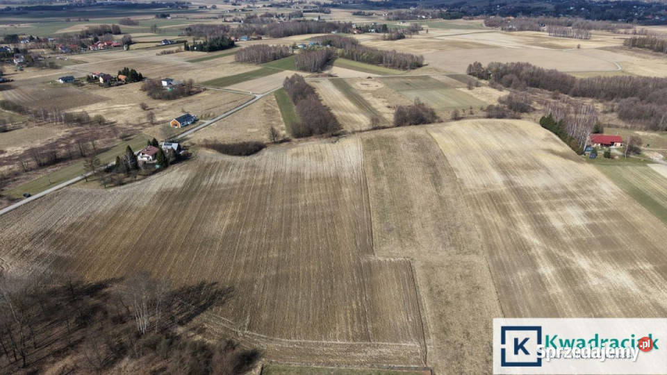 Grunt Ustrobna 6900m2 6900m2