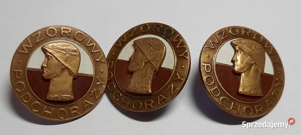 Brązowa Odznaka Wzorowy Podchorąży 3 sztuki Warszawa