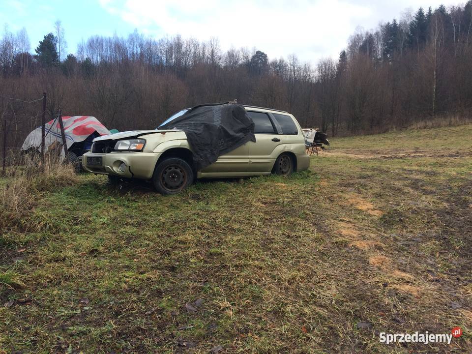 Sprzedam pozostałości subaru forester małopolskie Nowy Sącz