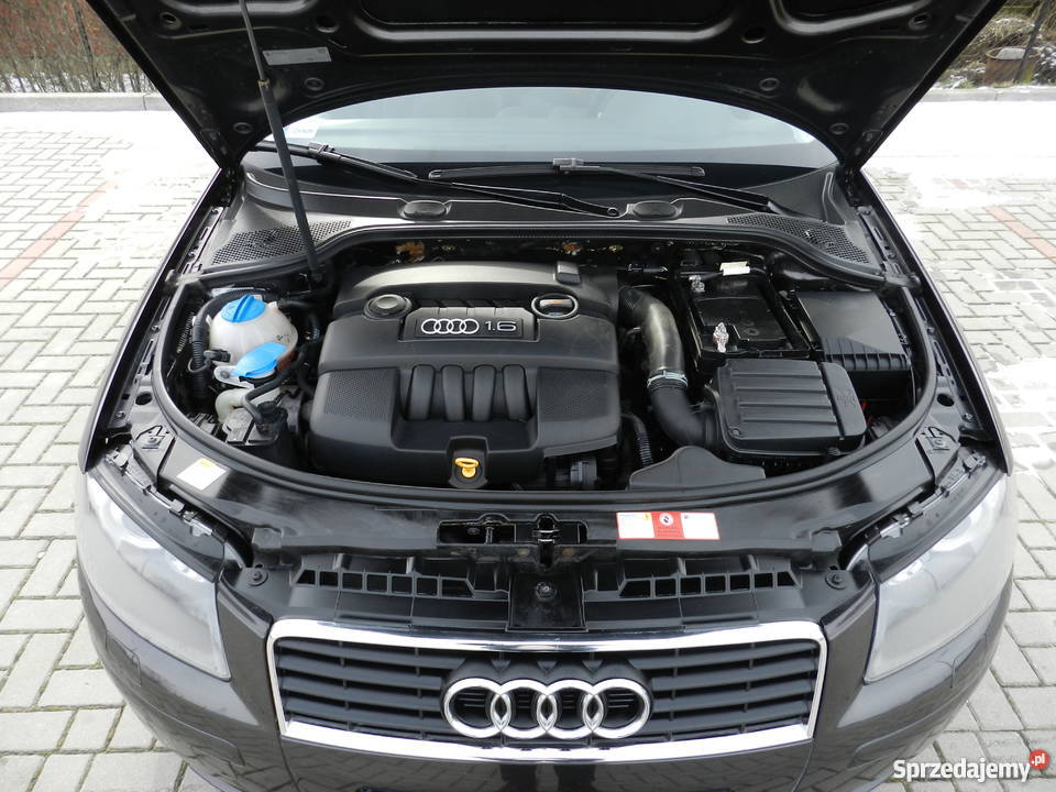 Audi A3 8P 16 Benzyna Xenon Skóra Pierwszy 1600cm3 Świdnik sprzedam