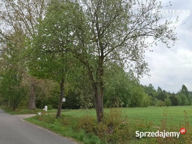 sprzedaży gruntu 8165m2 Sobącz pomorskie sprzedam