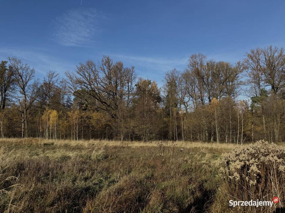 Działka rolna 1300m Wieluń 15zł/m2 łódzkie