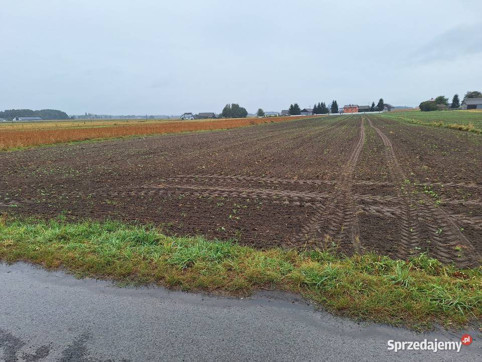 Działka budowlana Krzyżanówka gm Sienno 50000 m2