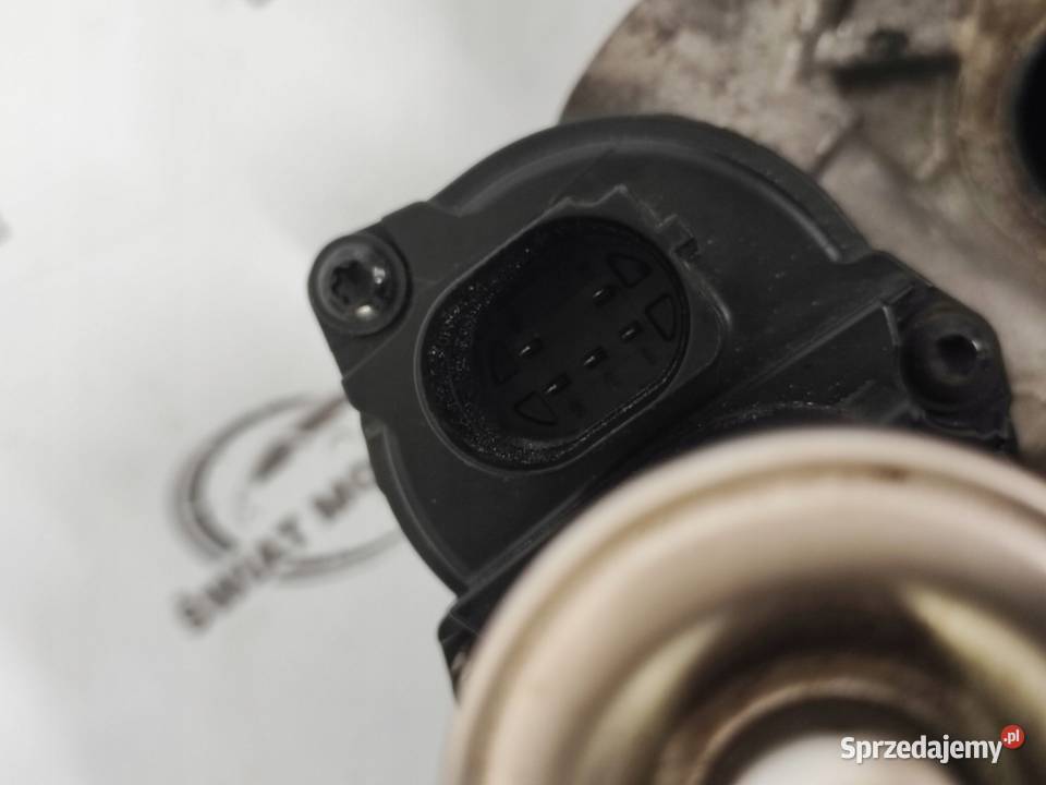 A3 LEON FABIA RAPID 16 TDI CAYN 154 chłodniczka świętokrzyskie Kielce