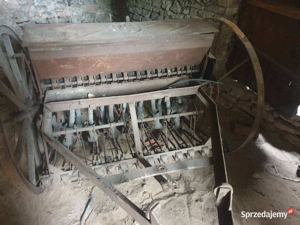 Siewnik konny Mierzęcice