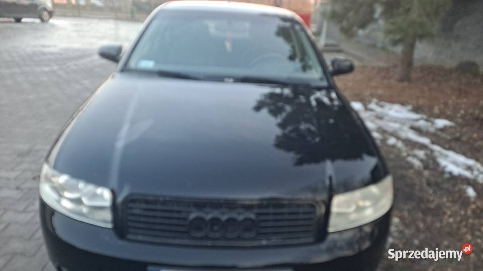 Audi A4 B6 możliwa zamiana na busa dolnośląskie Strzelin