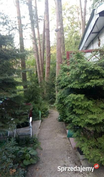 Domek Bugiem SPRZEDAM Stare Mierzwice