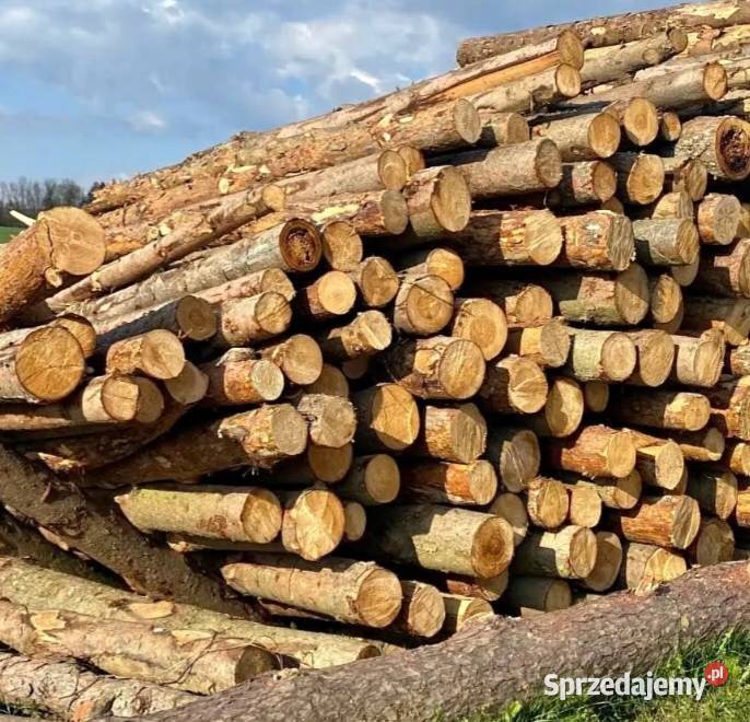 Drewno opałowe kominkowe różne rodzaje małopolskie