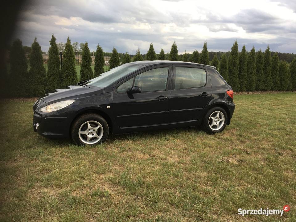 Peugeot 307 Motoryzacja Szamotuły