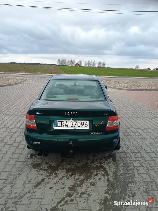 Audi A4 B5 Krzywanice
