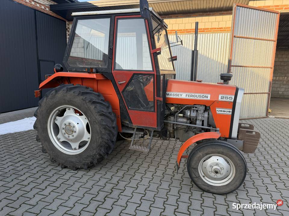 Ursus Massey Ferguson 255 1490 mtg Cedrowice-Parcela