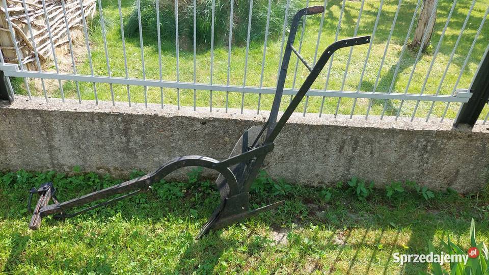 Radełko Przasnysz
