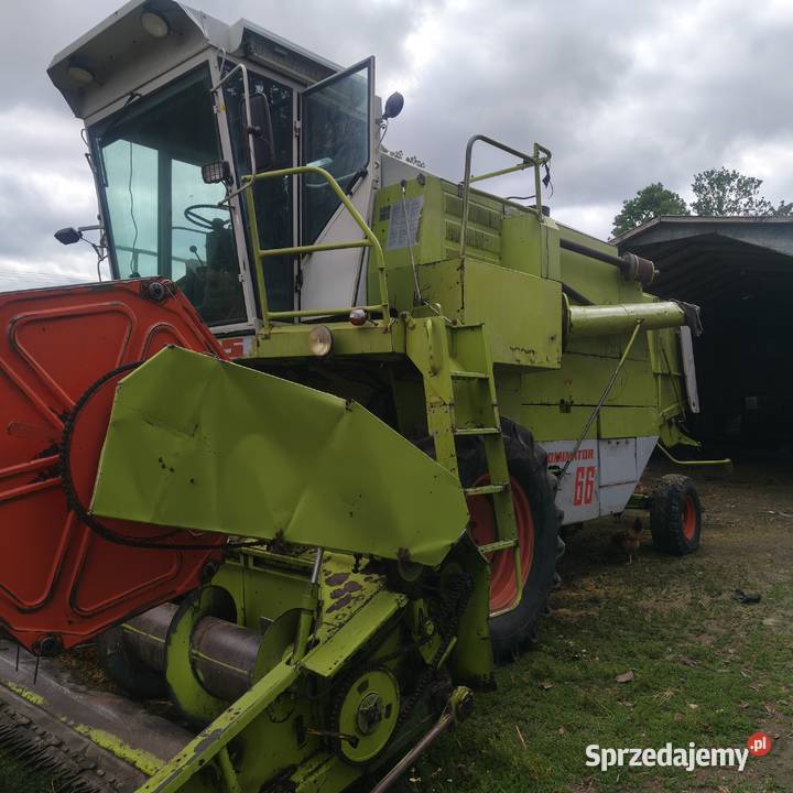 Claas dominator 66 Claas Zbożowe Bezek Dębiński