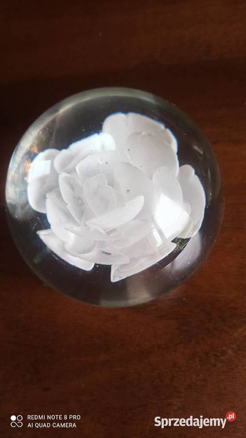 Kula szklana z białą różą przycisk na biurko Gdańsk