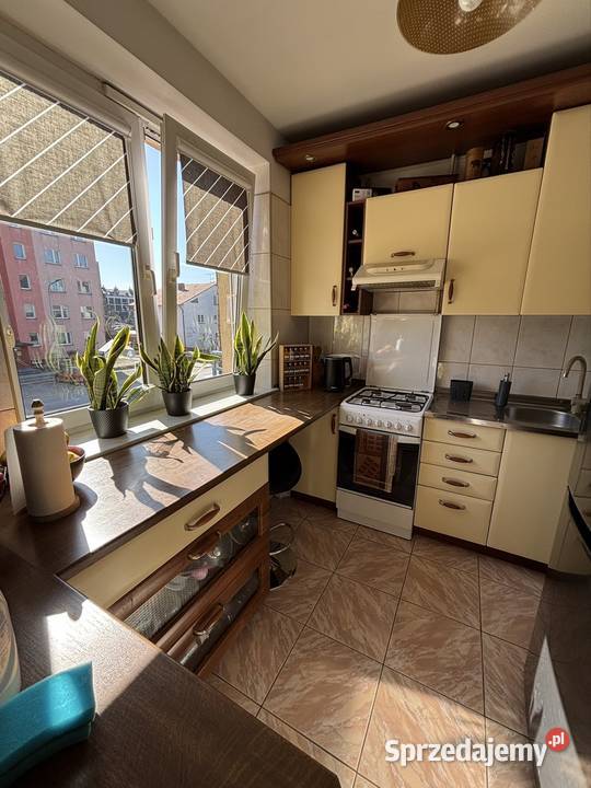 Sprzedam mieszkanie TBS 54 m 2 pokoje Balkon pustak Jarosław