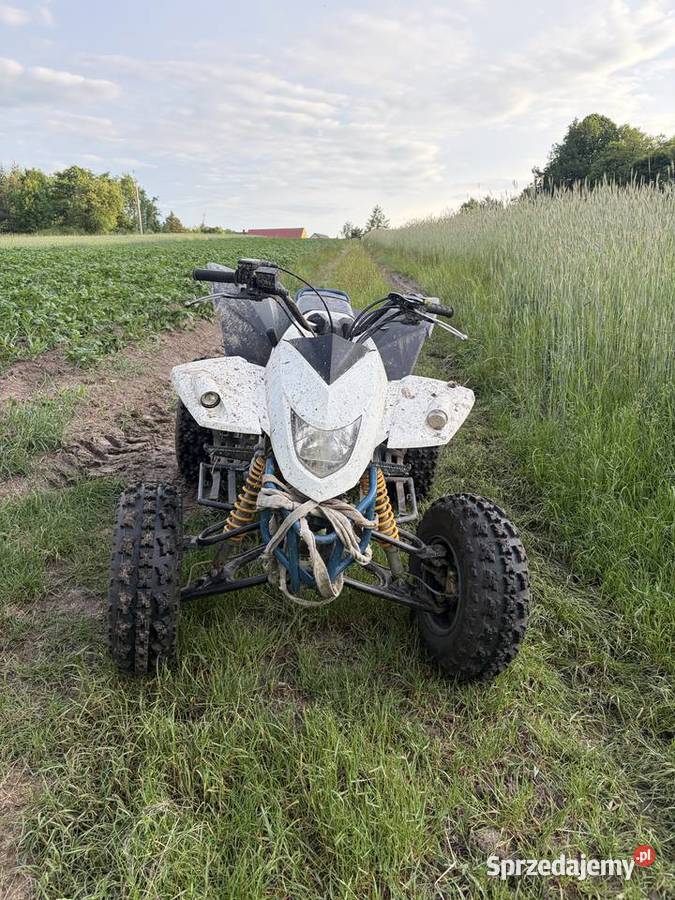 SMC Barossa 250cc wsteczny hak Słopiec