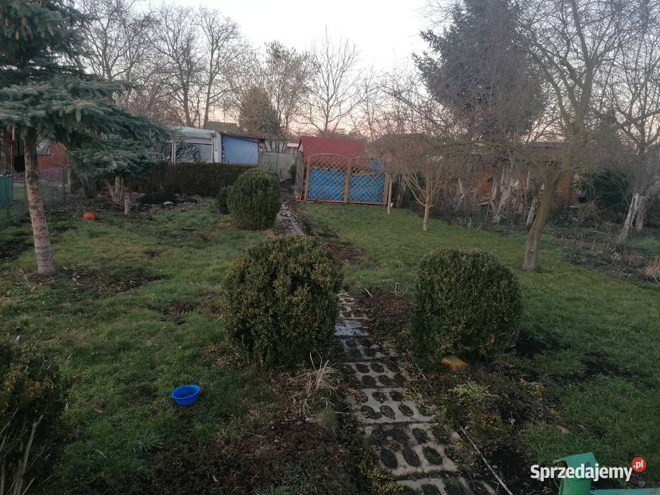 Działka rod wyspa pucka Sprzedaż Szczecin sprzedam