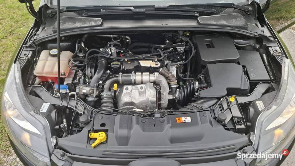 Ford Focus 16 Hdi 2011r z Niemiec stan okazja Jarosław