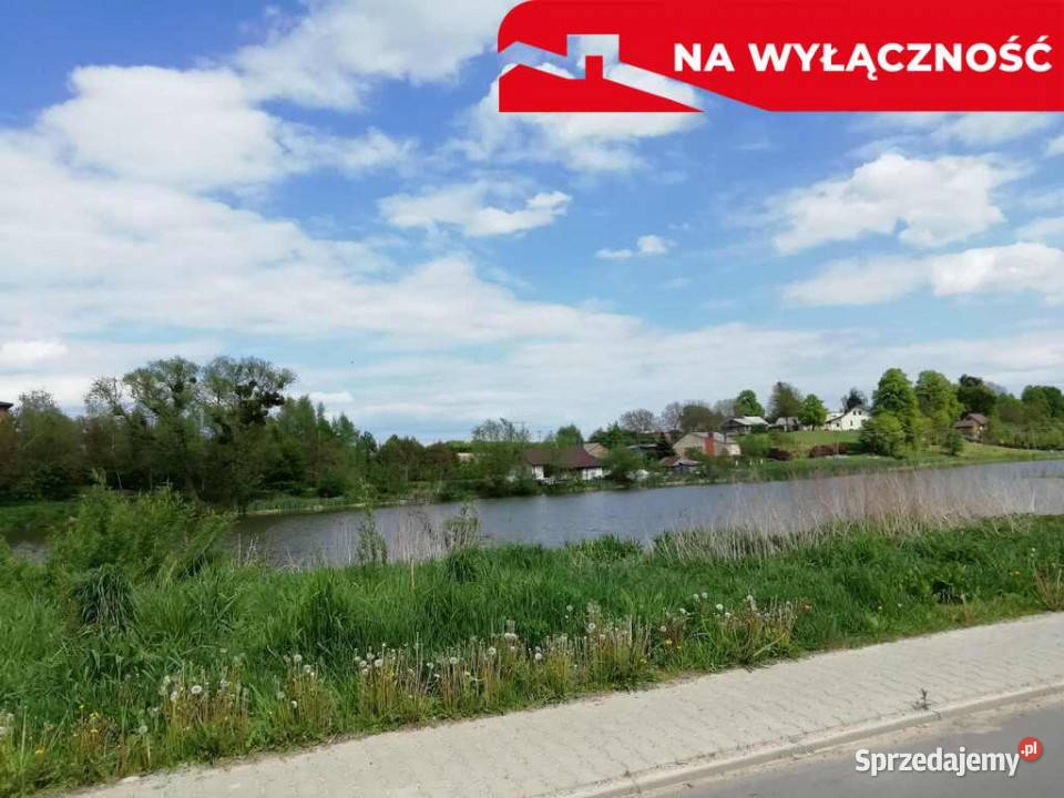 Działka o pow 46 ha w Klementowicach gm Kurów Klementowice sprzedam