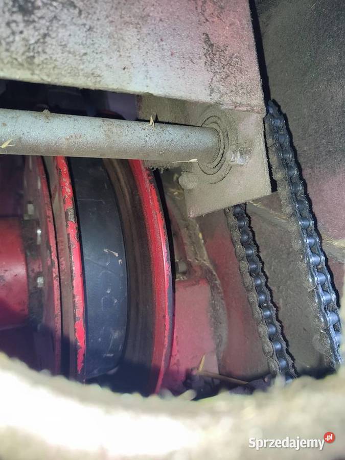 Zębatka mała napędu koła odpylającego Ferguson Massey Ferguson Dąbrówka Mała