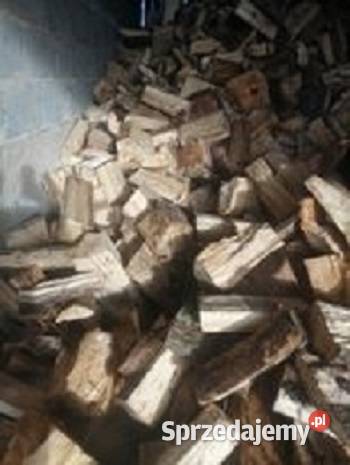 drewno topola suche pomorskie Tychnowy