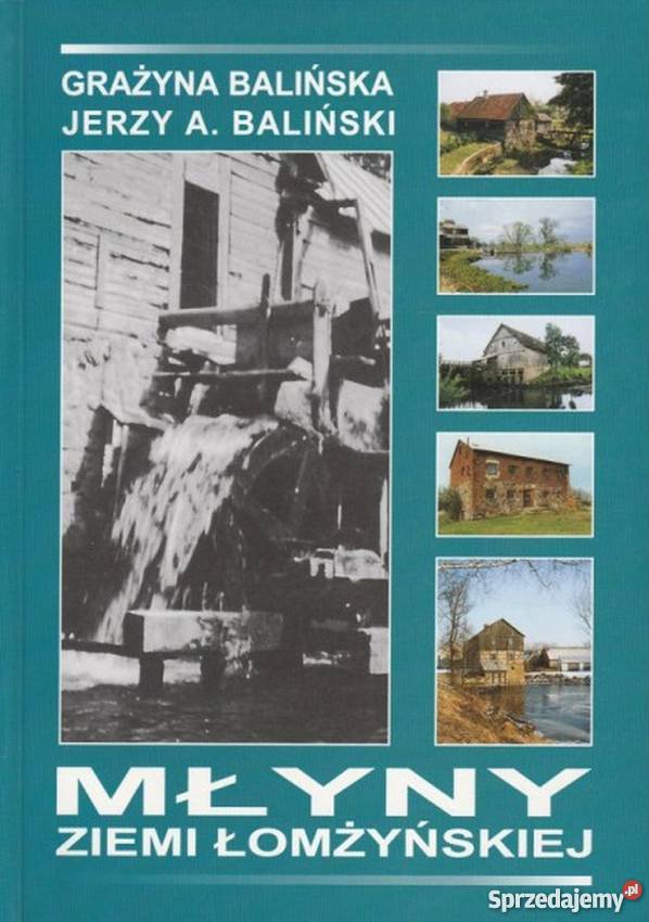MŁYNY ZIEMI ŁOMŻYŃSKIEJ BALIŃSKA BALIŃSKI Włocławek sprzedam