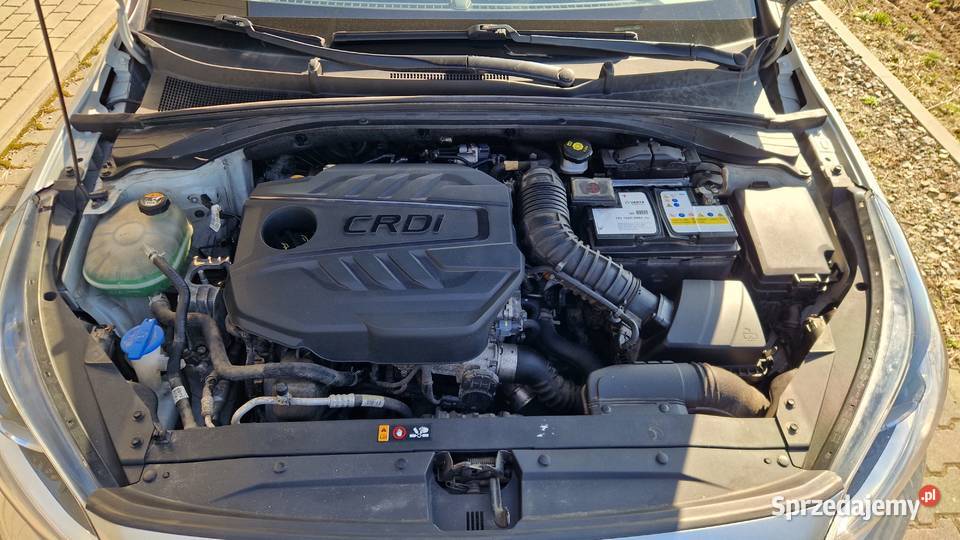 KIA Ceed SW 16 CRDi MHEV 136