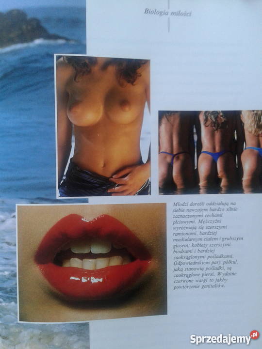 ZWIERZĘ ZWANE CZŁOWIEKIEM Desmond Morris Leszno