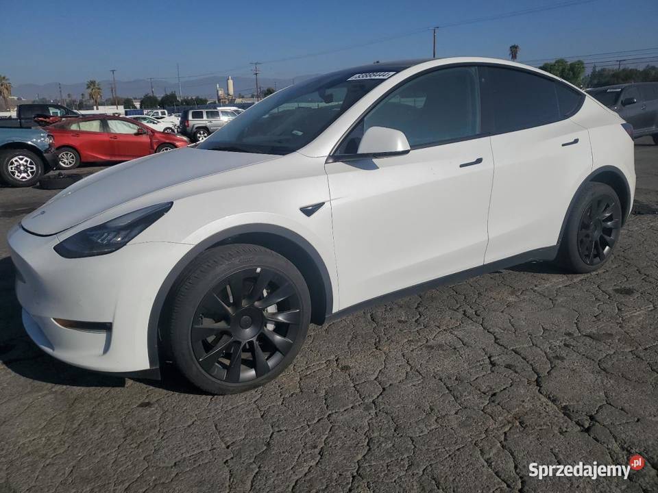 2022 TESLA MODEL Y Częstochowa