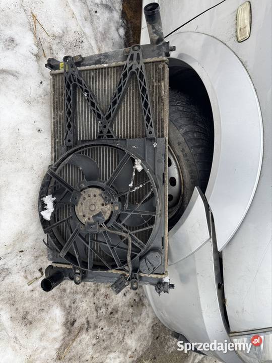 Chłodnica wody tata indica 14 Rok produkcji 2008 Tomaszów Mazowiecki