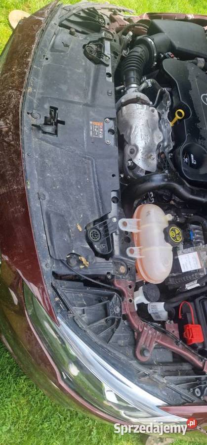 Opel Insignia 20 diesel 170 2017 Racławice Śląskie