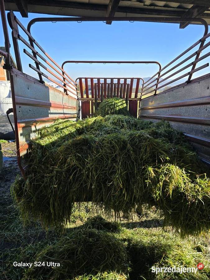 Przyczepa kosiarka ścinacz zielonek Twardorzeczka