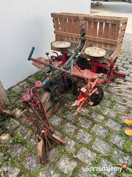 Sadzarka do ziemniaków podkiełkowanych