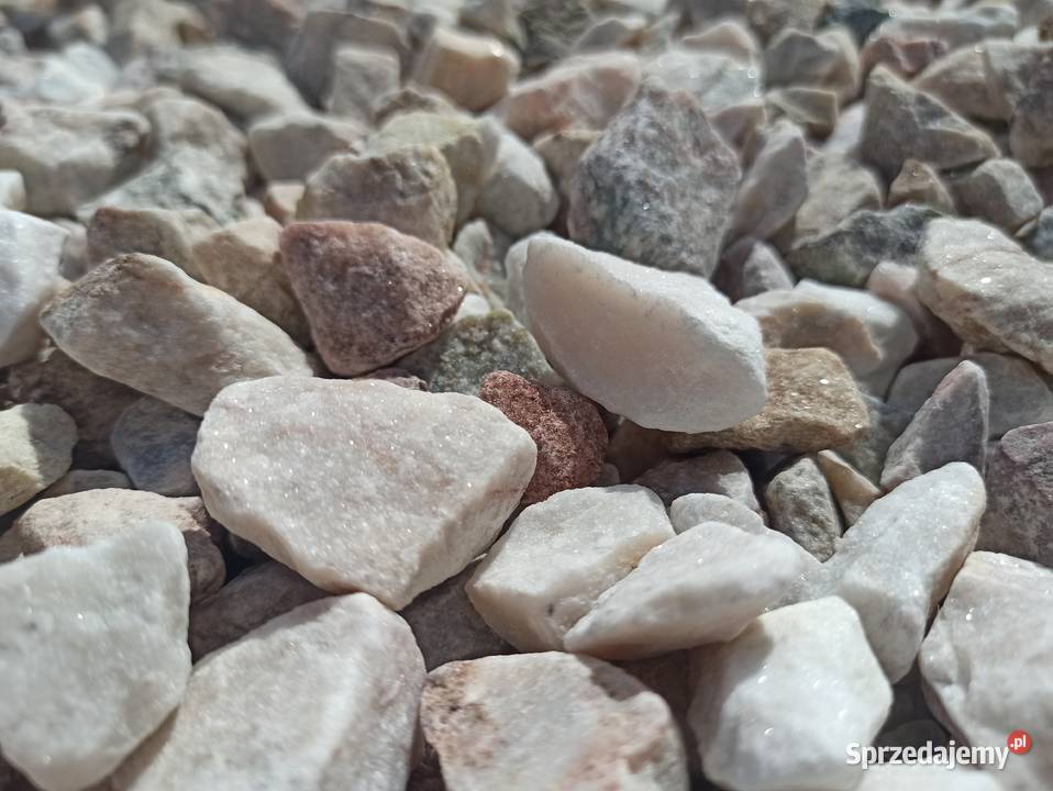 Grys Janowicki kamień ogrodowy Granitowy Kora