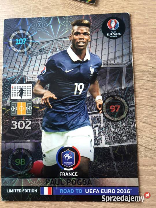 karty sportowe panini Łódź