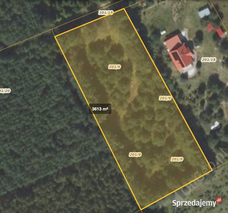 Sprzedam działkę budowlaną las Cieciorka budowlana