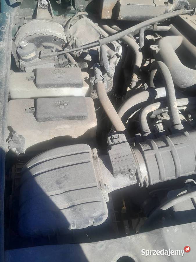 Ford Explorer Piotrków Drugi